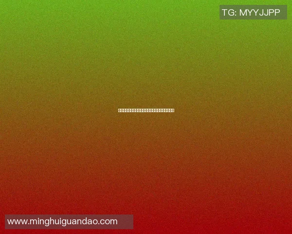 公园篮球场上的传奇少年如何逆袭成全市冠军的故事