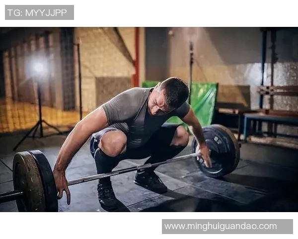 掌握哑铃弯举标准动作提升肌肉力量与健身效果的全面指南