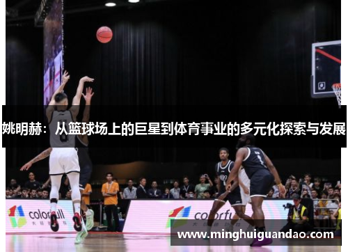 姚明赫：从篮球场上的巨星到体育事业的多元化探索与发展