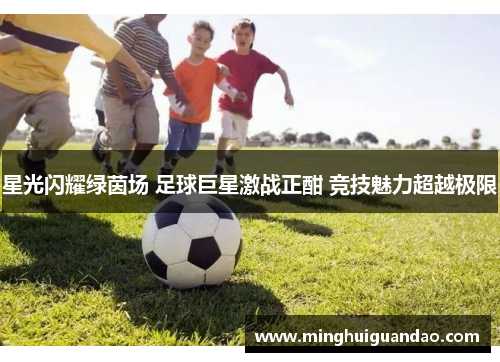 星光闪耀绿茵场 足球巨星激战正酣 竞技魅力超越极限