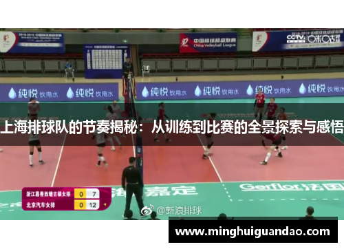 上海排球队的节奏揭秘：从训练到比赛的全景探索与感悟